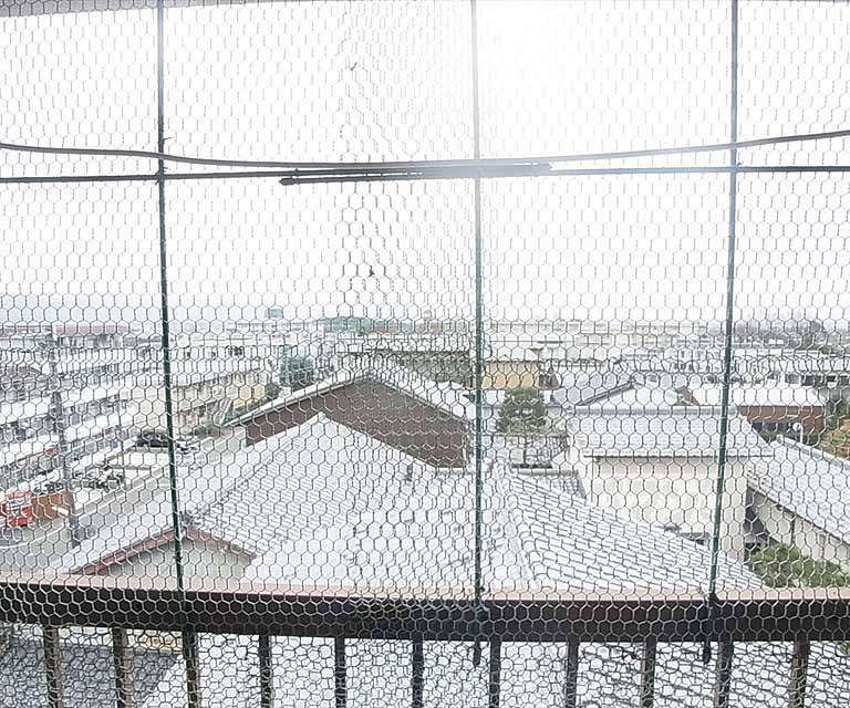 眺望　室外風景