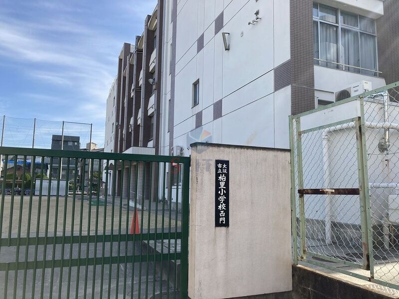 小学校　大阪市立柏里小学校（小学校）まで126m