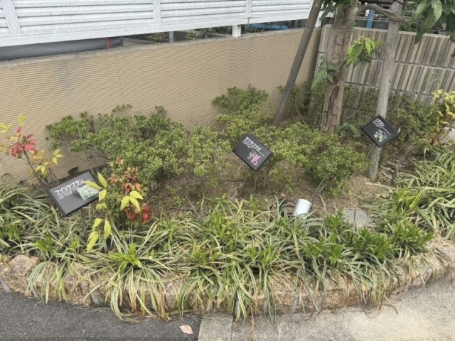 その他共有部分　植栽