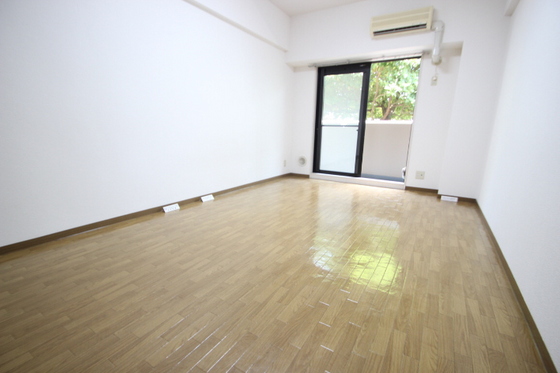 居室・リビング　※別号室の写真です