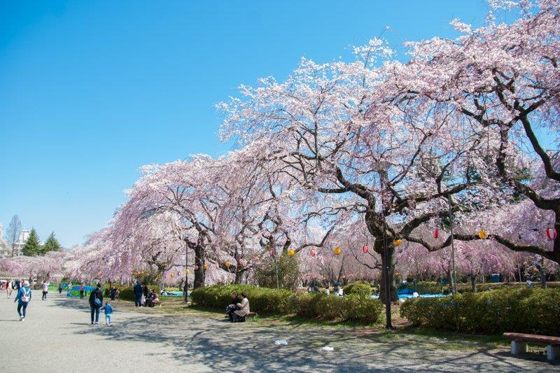 その他　榴岡公園（その他）まで220m