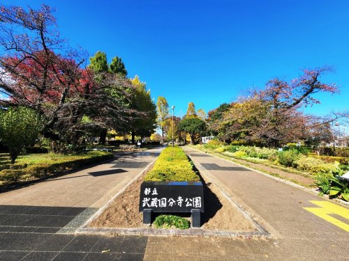 公園　都立武蔵国分寺公園（公園）まで543m