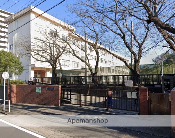 小学校　藤沢市立新林小学校（小学校）まで922m