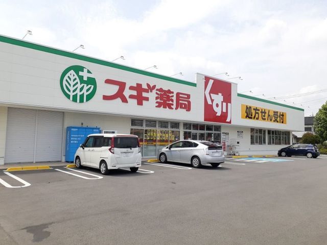 ドラックストア　スギ薬局前橋関根店（ドラッグストア）まで1100m