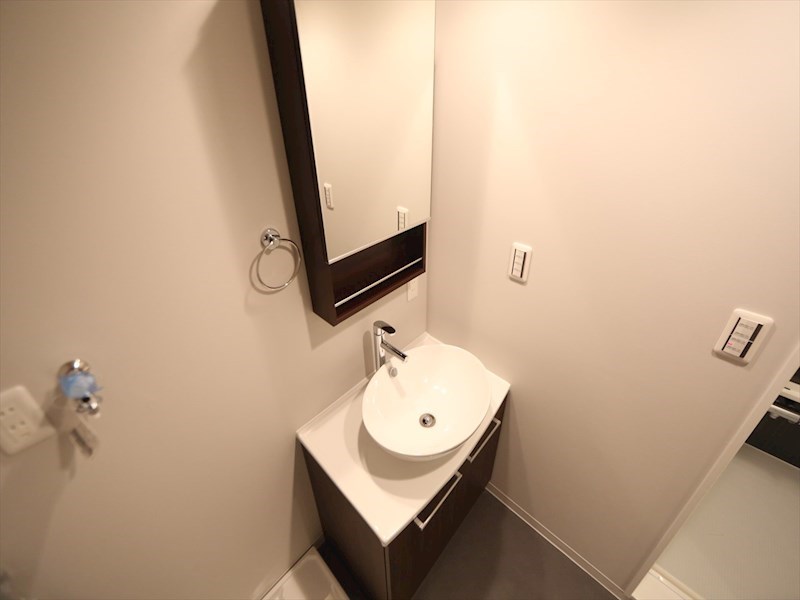 洗面設備　脱衣所　デザイン独立洗面台　室内洗濯機置き場