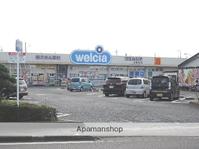 ドラックストア　ウエルシア上尾栄薬局（ドラッグストア）まで599m