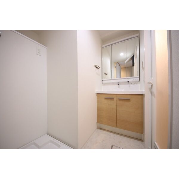 洗面設備　※別部屋の参考写真です。部屋によってカラータイプも異なります