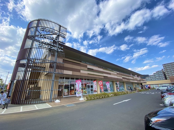 ドラックストア　マツモトキヨシＬＥＶＥＮおおたか（ドラッグストア）まで253m