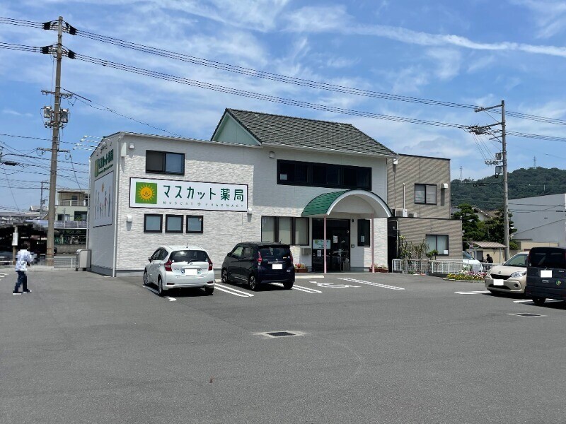 ドラックストア　マスカット薬局 児島店（ドラッグストア）まで482m