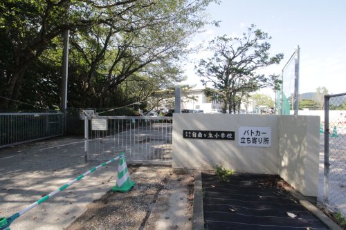 小学校　宗像市立自由ケ丘小学校（小学校）まで1987m