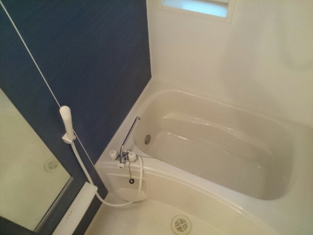 バス・シャワールーム　落ち着いた空間のお風呂です