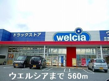 その他　ウェルシアまで560m