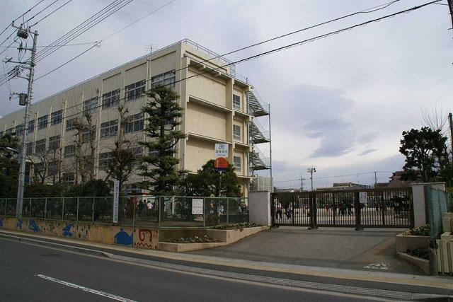 小学校　市川市立 大洲小学校（小学校）まで524m