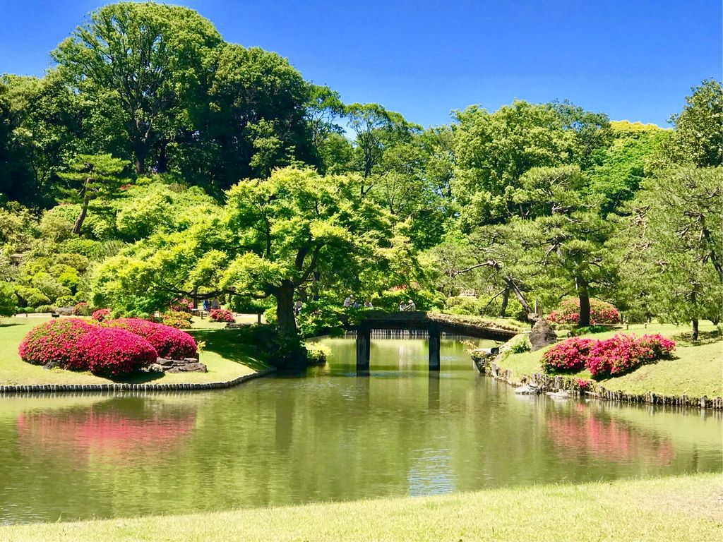 公園　お茶の水公園（公園）まで482m