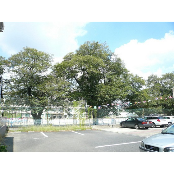 小学校　水戸市立石川小学校（小学校）まで581m