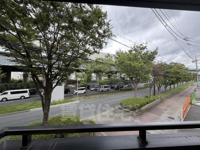 フェアリーアオイのその他写真