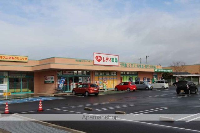 ドラックストア　レデイ薬局十川店（ドラッグストア）まで1251m