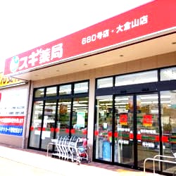 ドラックストア　スギ薬局 大倉山店（ドラッグストア）まで768m