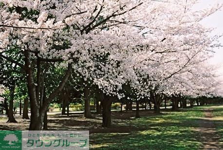 公園　亀戸中央公園（公園）まで750m