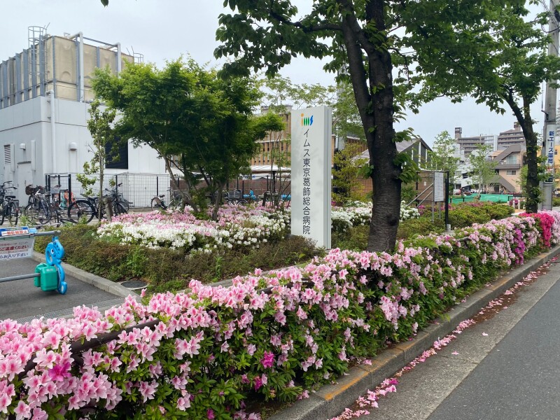 病院　医療法人社団明芳会イムス東京葛飾総合病院（病院）まで626m