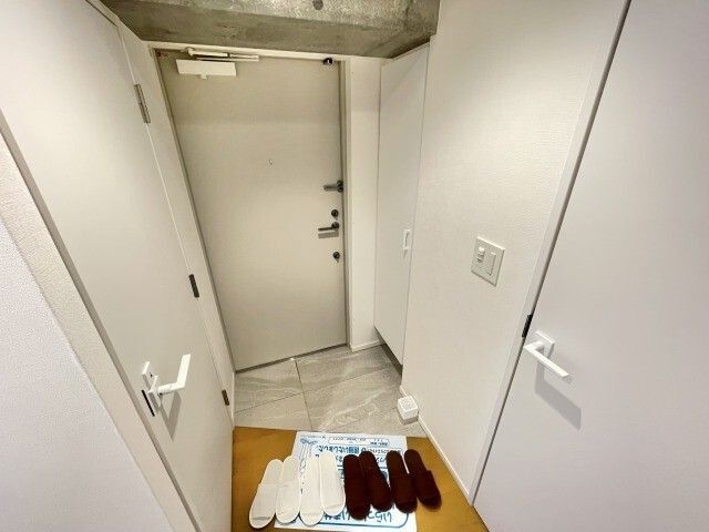 玄関　写真は他号室です。