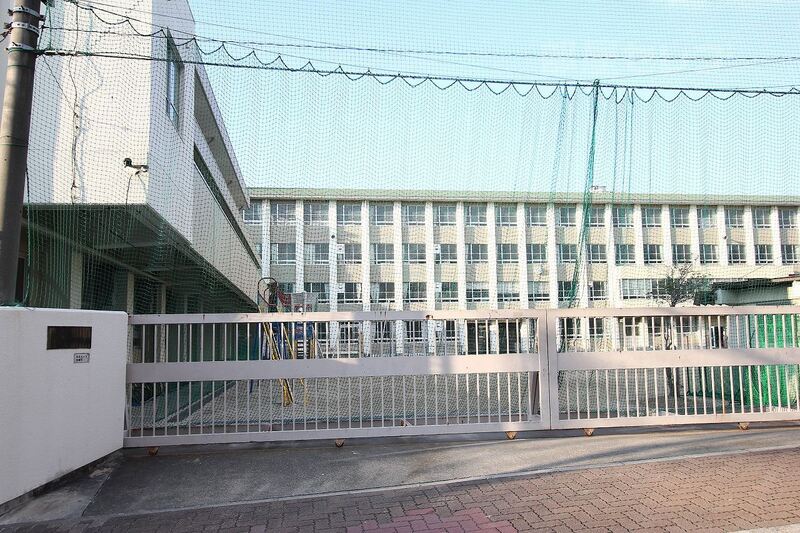 小学校　白鳥小学校（小学校）まで619m