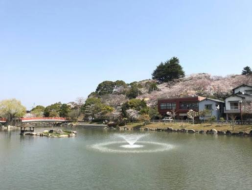 公園　勝盛公園（公園）まで531m