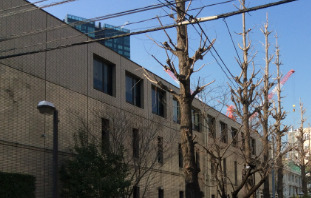 小学校　港区立赤羽小学校（小学校）まで781m