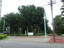 その他　小金井公園（その他）まで1400m