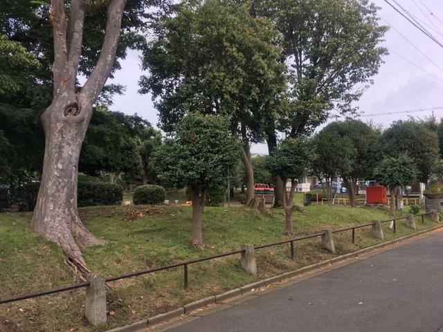 公園　中丸公園（公園）まで500m