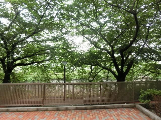 眺望　陽当たり良好