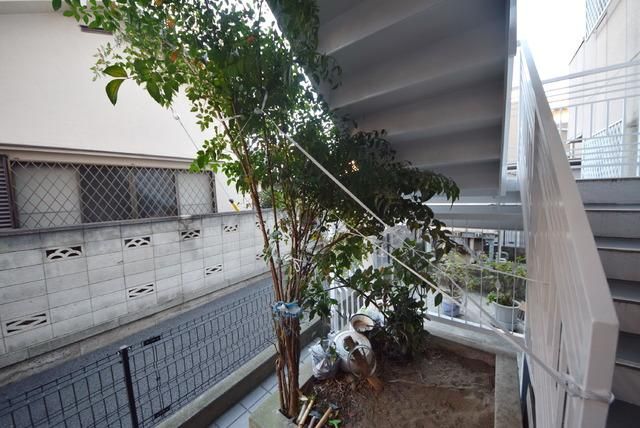 庭