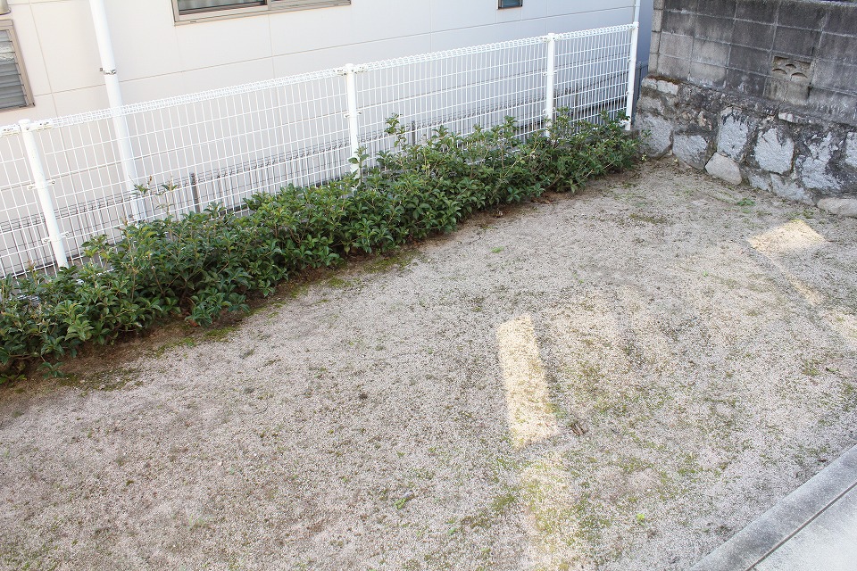 庭