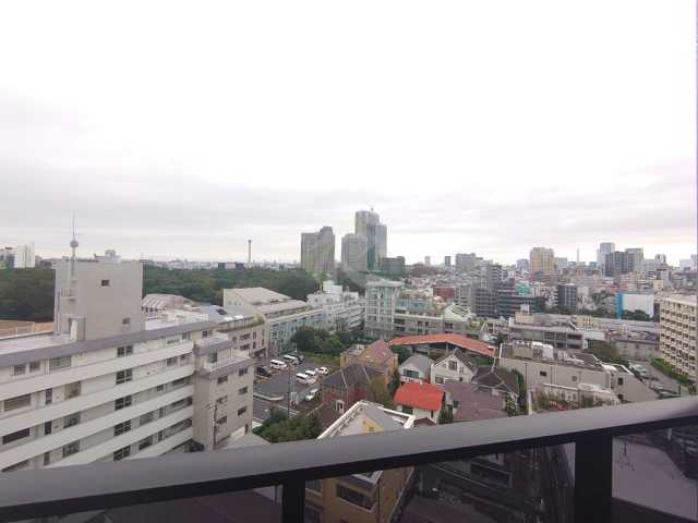 眺望　REX白金