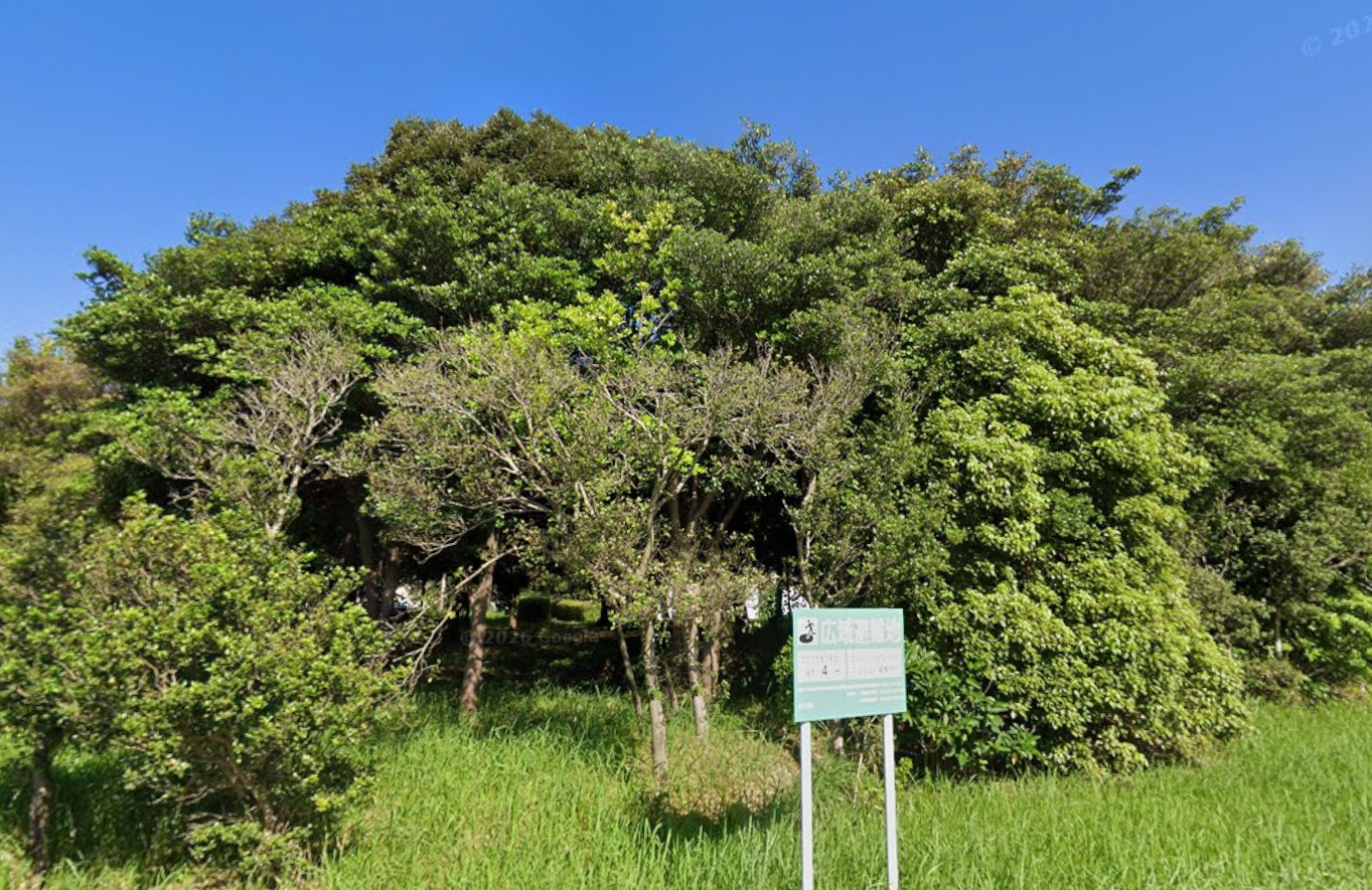 公園　奥洞海緑地（公園）まで238m