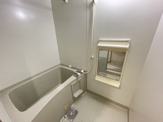 バス・シャワールーム　※別部屋の写真です