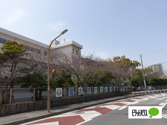 小学校　習志野市立谷津南小学校（小学校）まで674m