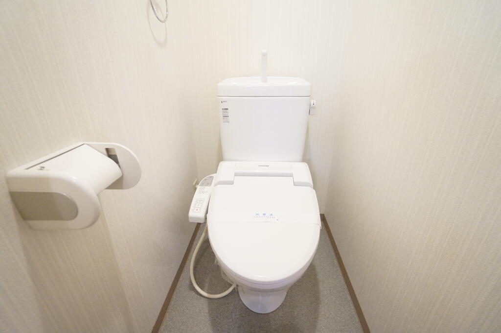 エクセリーヌ別府IIのトイレ写真