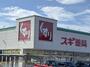 ドラックストア　スギ薬局常滑北店（ドラッグストア）まで1079m