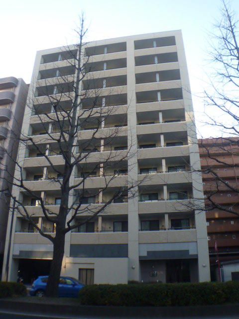 アレクシード晩翠通の居間写真