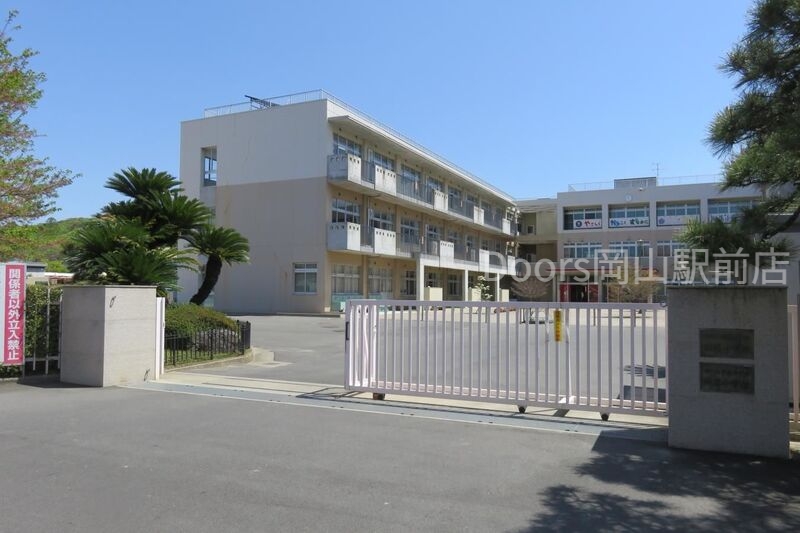 中学校　国立岡山大学教育学部附属中学校（中学校）まで482m