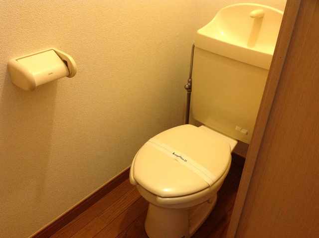 多摩都市モノレール 大塚・帝京大学駅 徒歩15分 2階建 築29年のトイレ写真