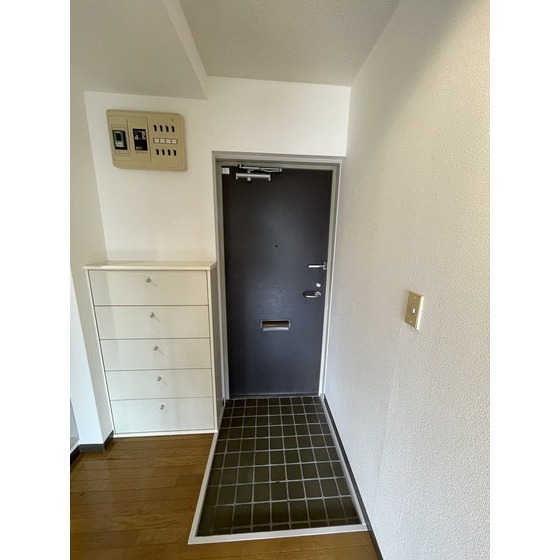 シャンテ代々木上原の玄関写真