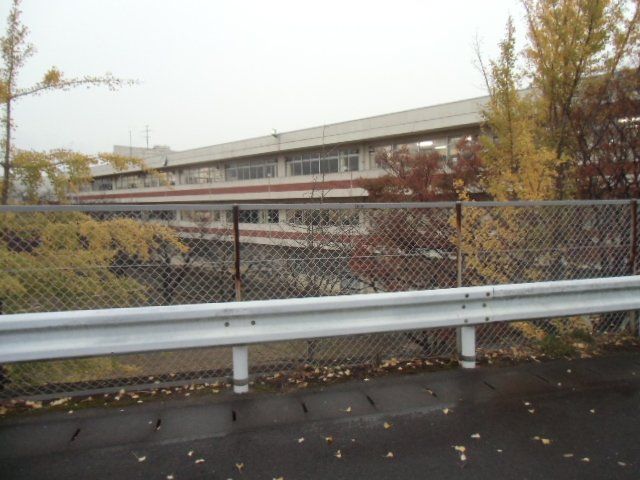 中学校　佐倉市立西志津中学校（中学校）まで250m