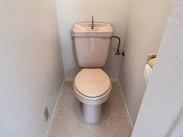 ユ-ハイツ豊岡のトイレ写真