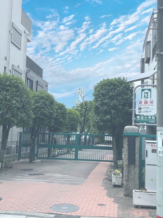 小学校　草加市立草加小学校（小学校）まで400m
