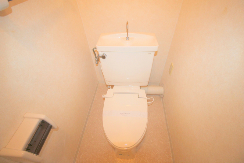 阪急宝塚線 豊中駅 徒歩15分 3階建 築39年のトイレ写真