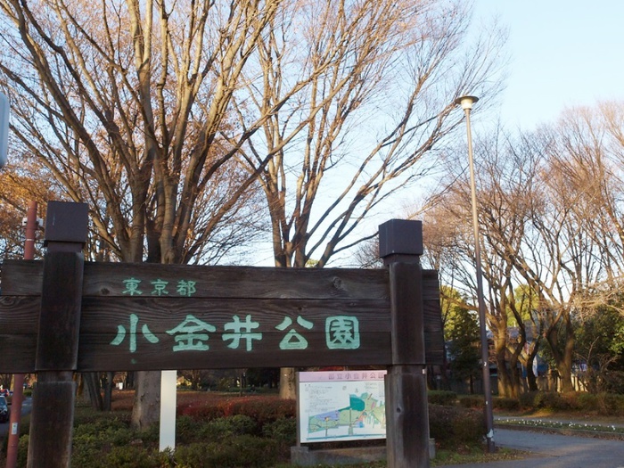 公園　小金井公園（公園）まで350m