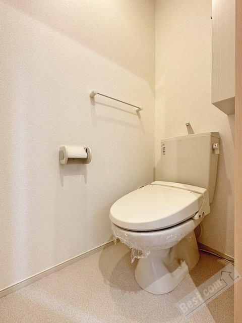 ＪＲ阪和線 富木駅 徒歩10分 2階建 築13年のトイレ写真