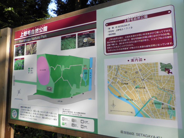 公園　上野毛自然公園（公園）まで510m